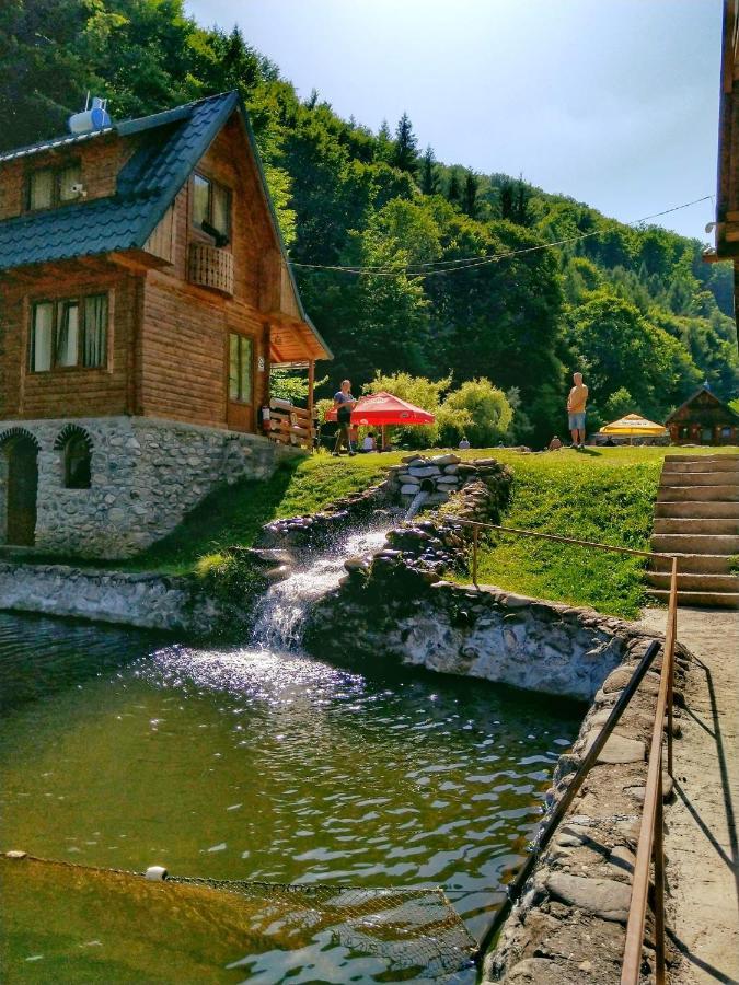 Pastravaria Romani Hotel Horezu Exterior photo